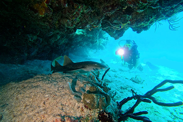 sea image