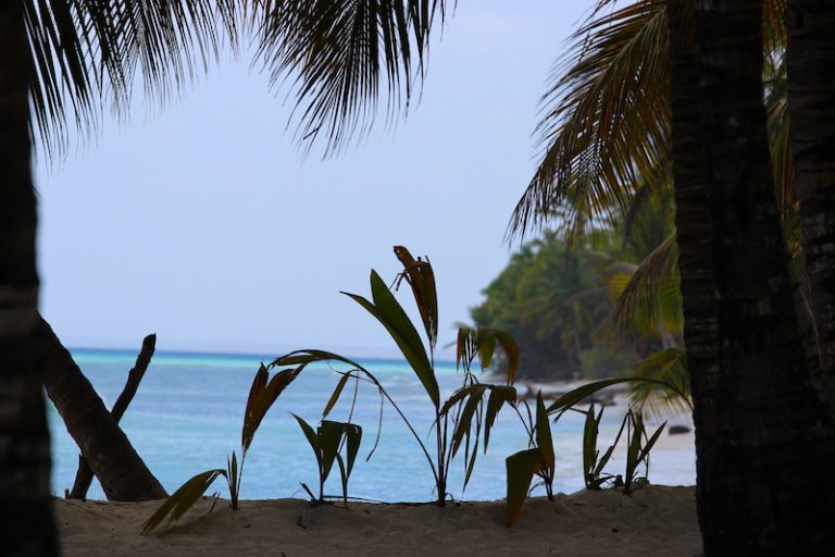 Saona-Island