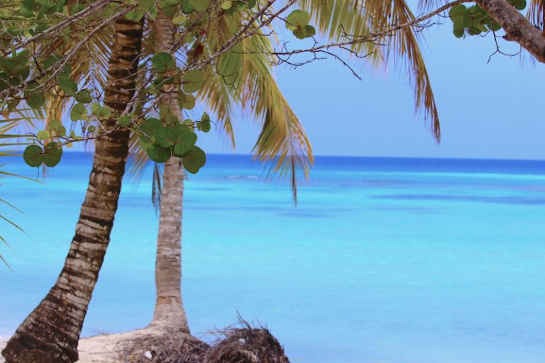 Saona-Island