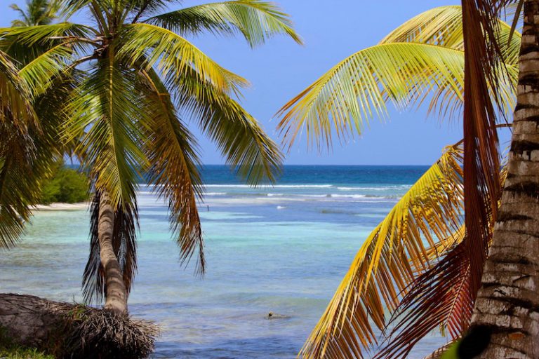 Saona-Island