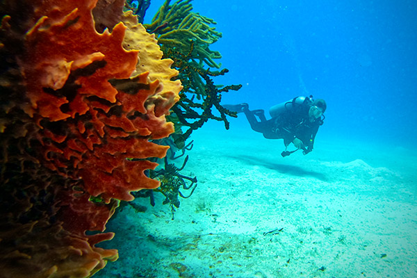 diving