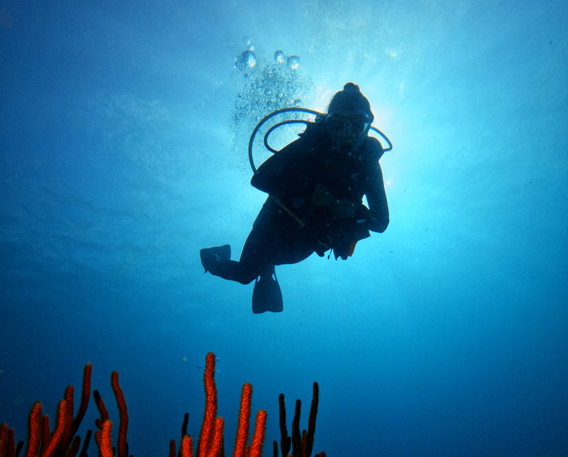 diving