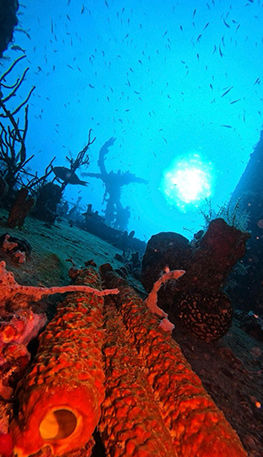 St-George-Wreck-new
